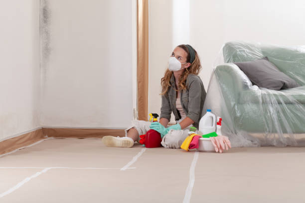 Trusted Mold Inspection service in Westville, IL - WQB Mold Removal